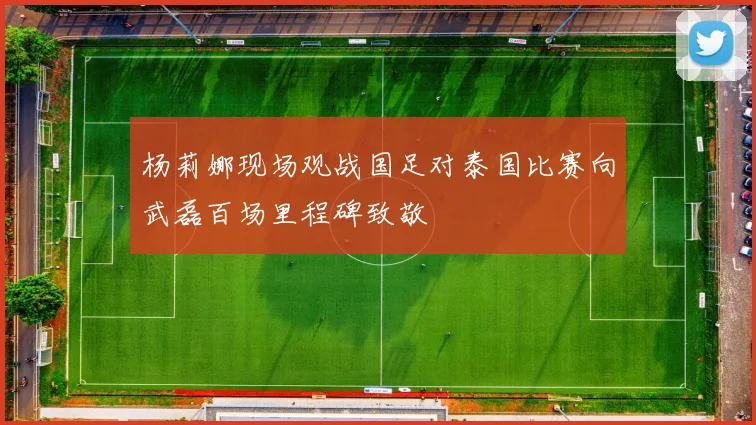 杨莉娜现场观战国足对泰国比赛向武磊百场里程碑致敬