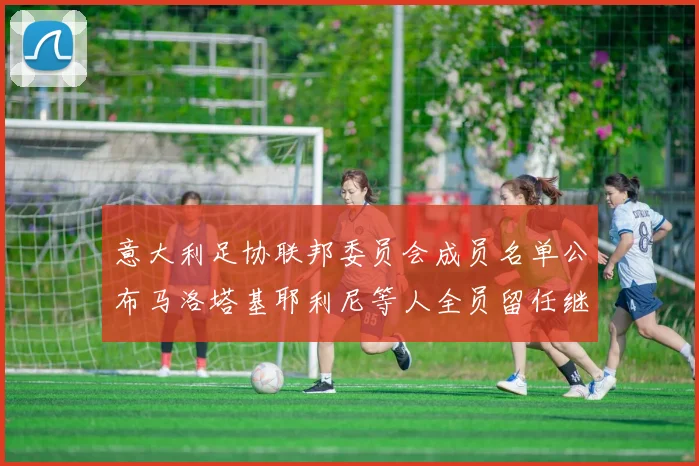 意大利足协联邦委员会成员名单公布马洛塔基耶利尼等人全员留任继续服务